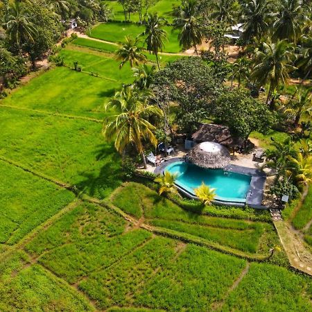 Nelu Villa สิกิริยา ภายนอก รูปภาพ