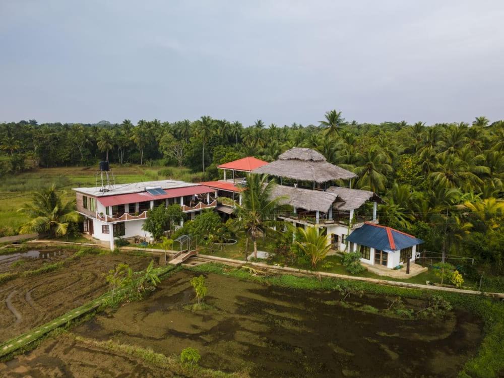 Nelu Villa สิกิริยา ภายนอก รูปภาพ