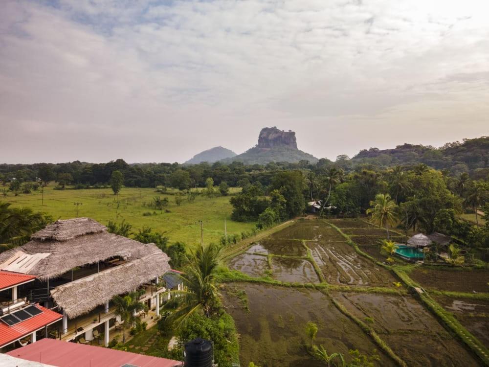 Nelu Villa สิกิริยา ภายนอก รูปภาพ