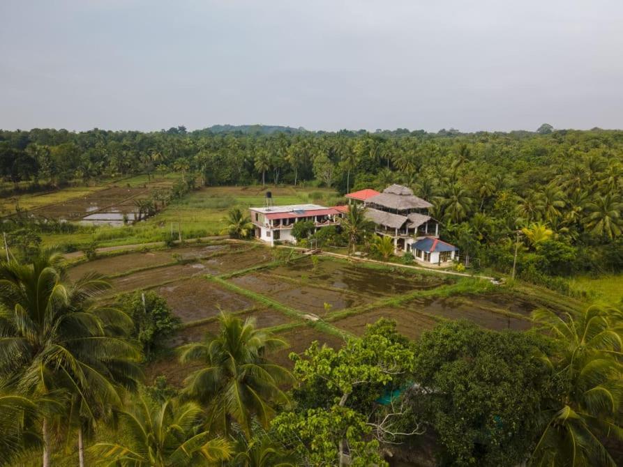 Nelu Villa สิกิริยา ภายนอก รูปภาพ