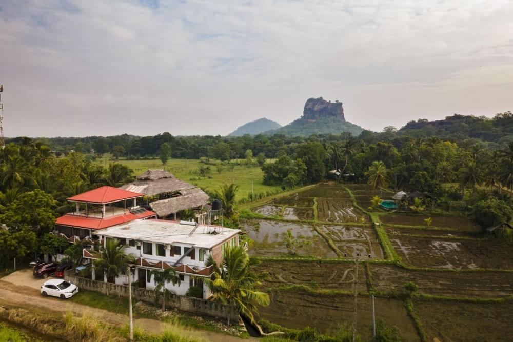 Nelu Villa สิกิริยา ภายนอก รูปภาพ
