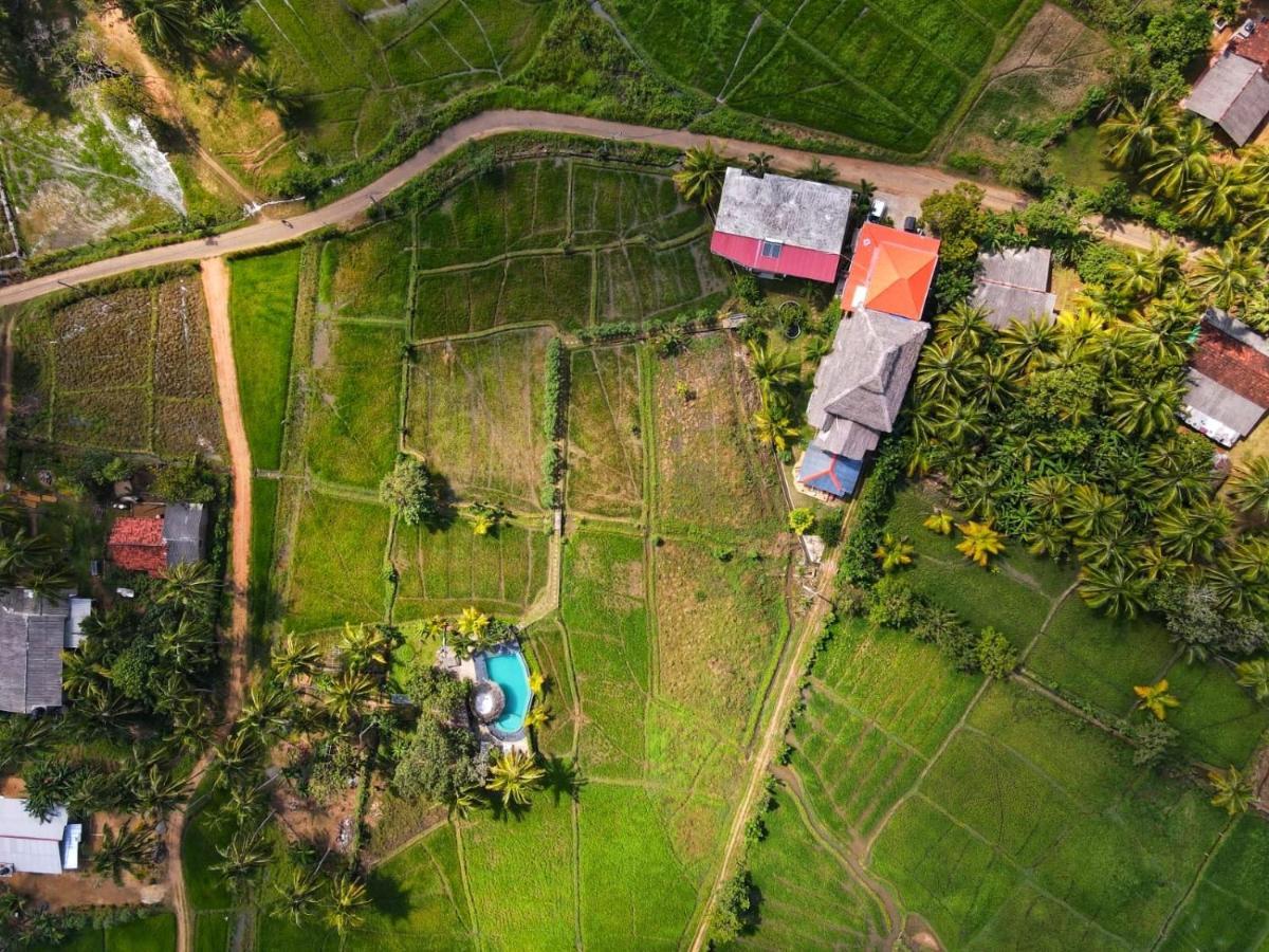Nelu Villa สิกิริยา ภายนอก รูปภาพ
