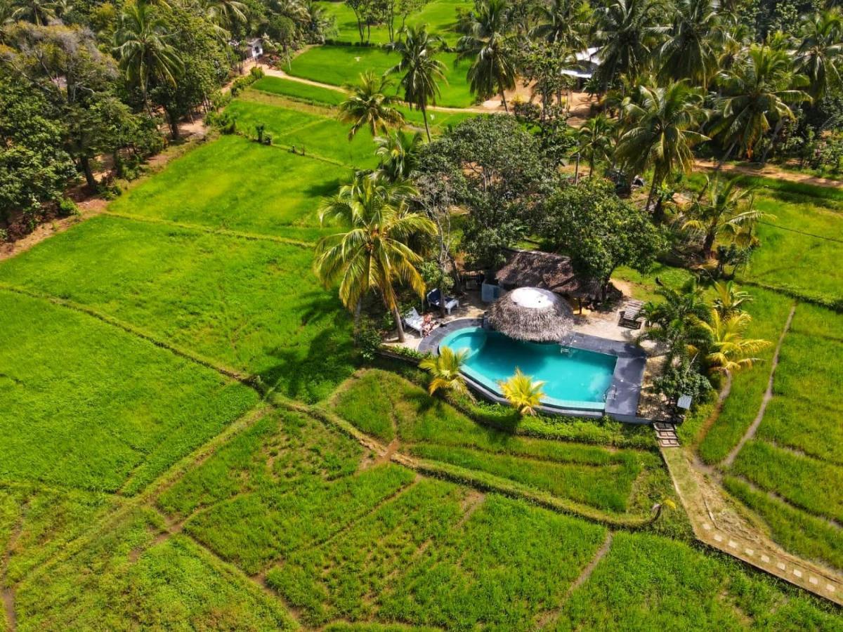 Nelu Villa สิกิริยา ภายนอก รูปภาพ