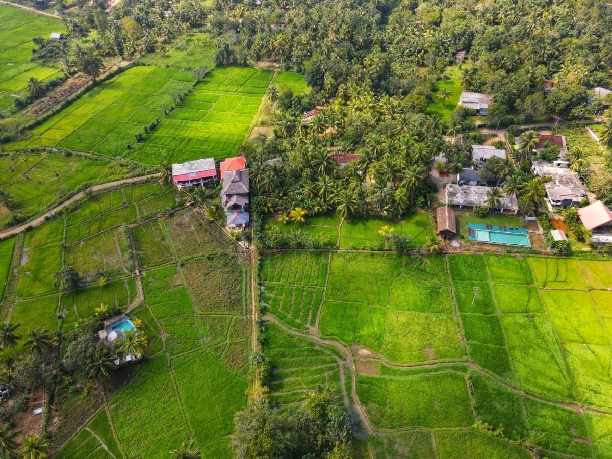 Nelu Villa สิกิริยา ภายนอก รูปภาพ