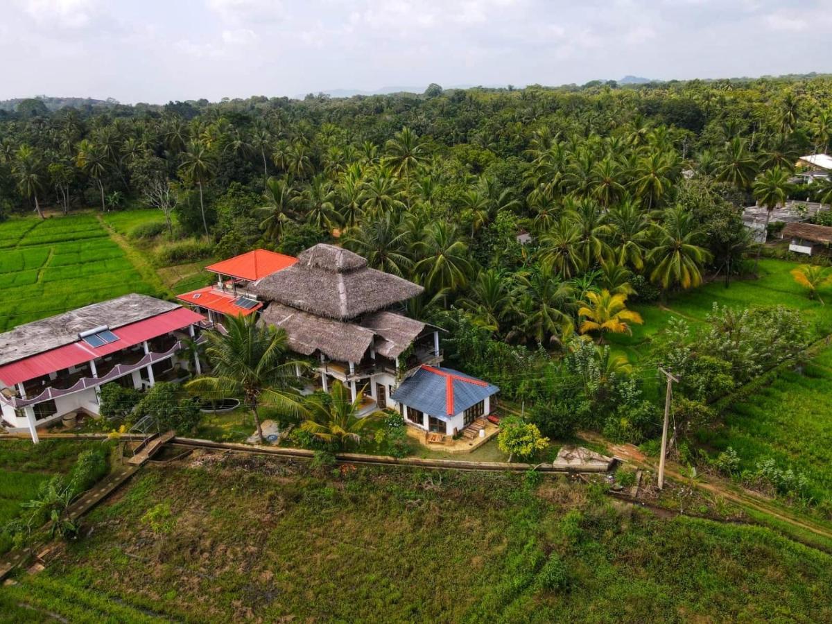 Nelu Villa สิกิริยา ภายนอก รูปภาพ