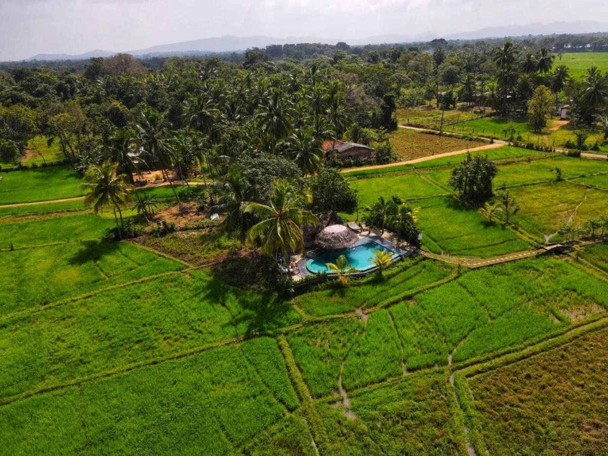 Nelu Villa สิกิริยา ภายนอก รูปภาพ