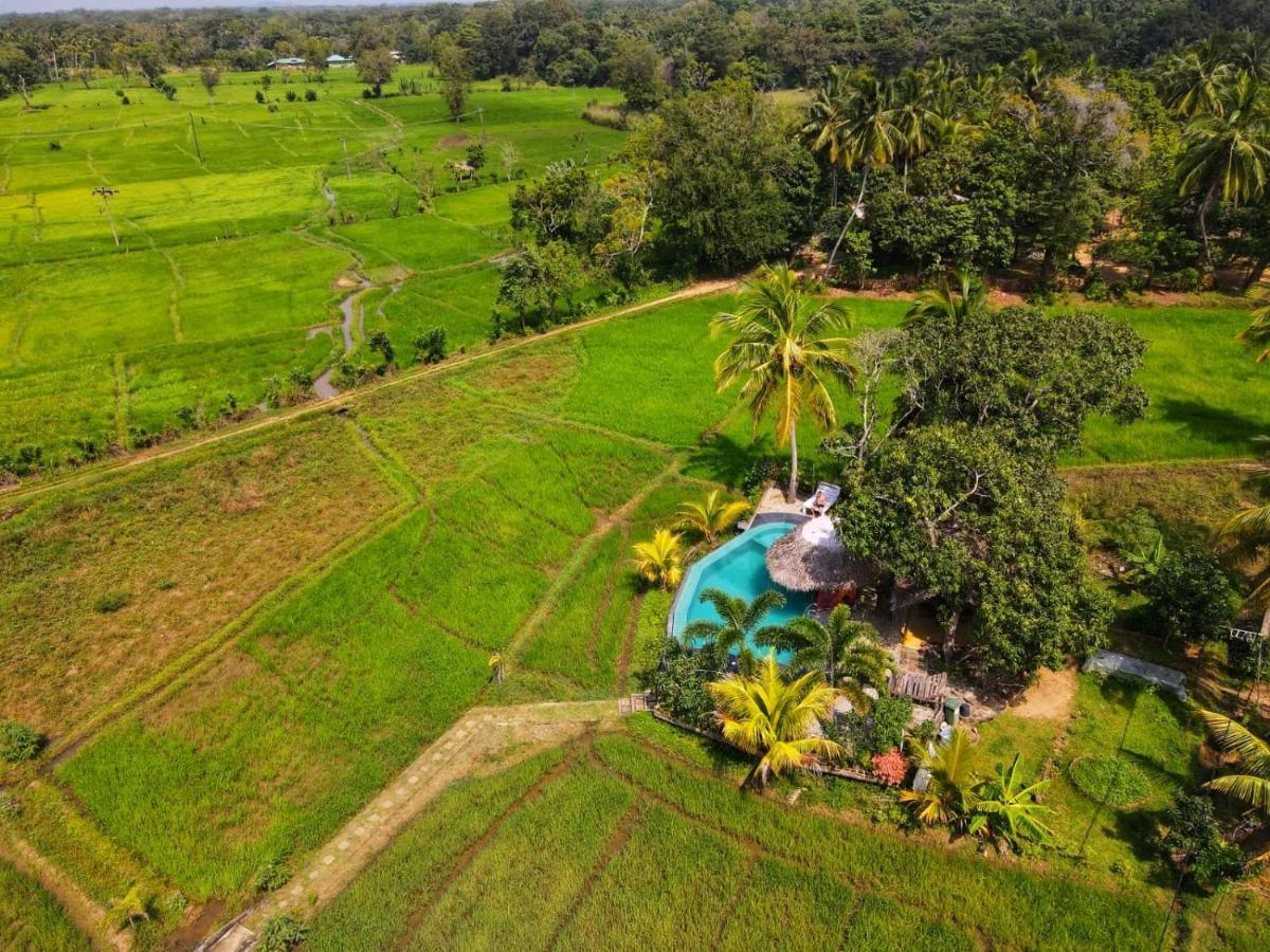 Nelu Villa สิกิริยา ภายนอก รูปภาพ