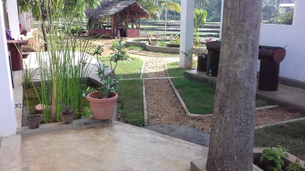 Nelu Villa สิกิริยา ภายนอก รูปภาพ
