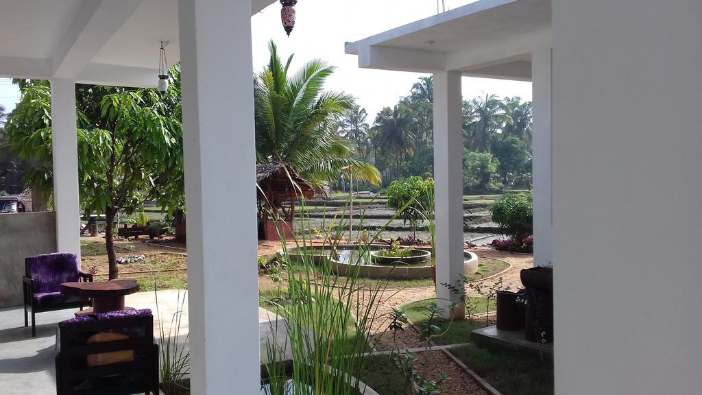 Nelu Villa สิกิริยา ภายนอก รูปภาพ