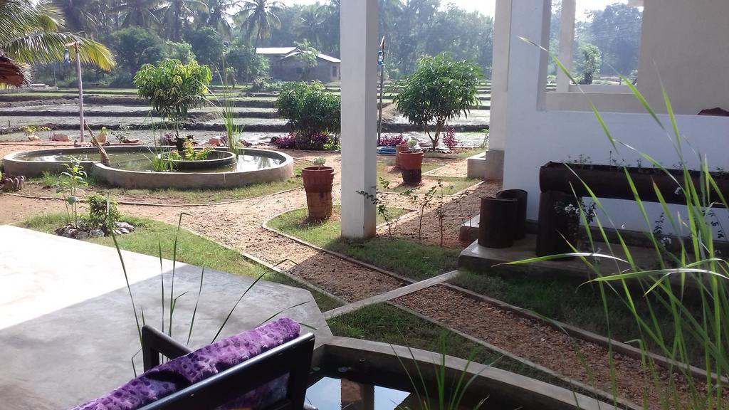 Nelu Villa สิกิริยา ภายนอก รูปภาพ