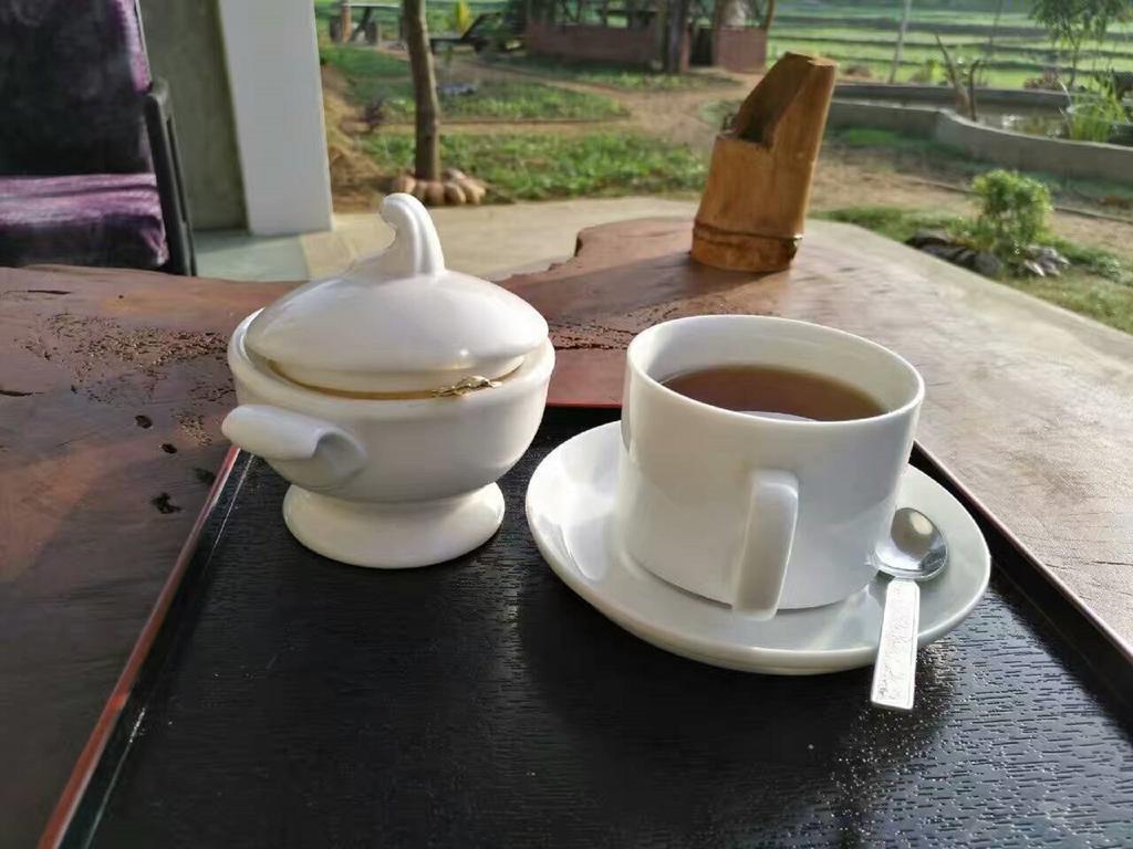 Nelu Villa สิกิริยา ภายนอก รูปภาพ