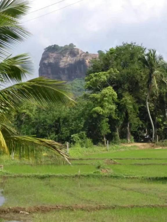 Nelu Villa สิกิริยา ภายนอก รูปภาพ
