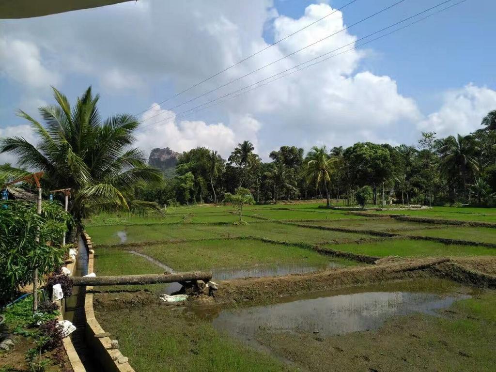 Nelu Villa สิกิริยา ภายนอก รูปภาพ