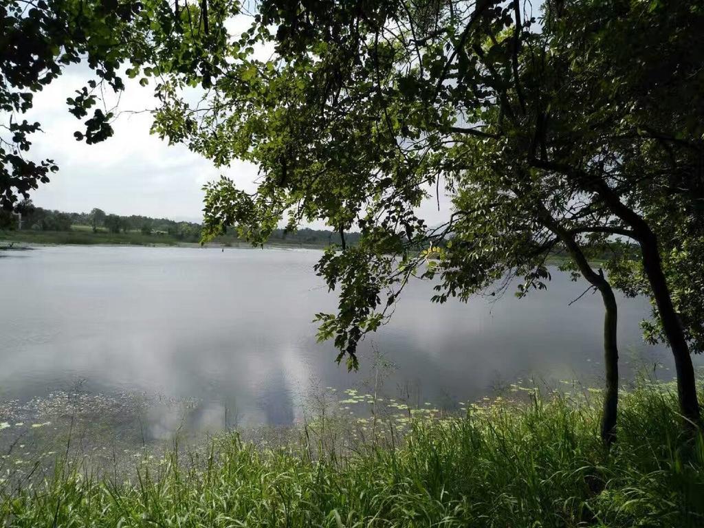 Nelu Villa สิกิริยา ภายนอก รูปภาพ