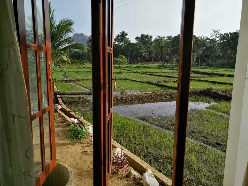 Nelu Villa สิกิริยา ภายนอก รูปภาพ