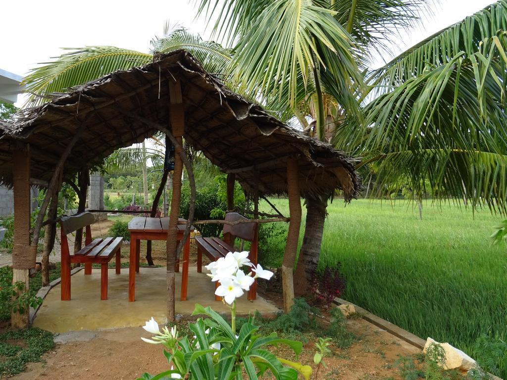 Nelu Villa สิกิริยา ภายนอก รูปภาพ