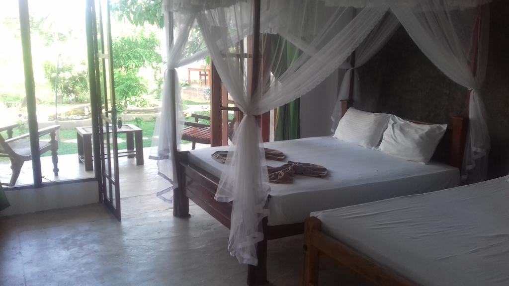 Nelu Villa สิกิริยา ภายนอก รูปภาพ