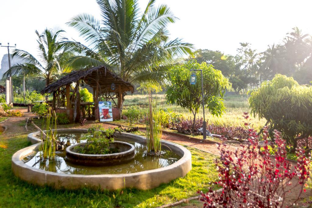 Nelu Villa สิกิริยา ภายนอก รูปภาพ