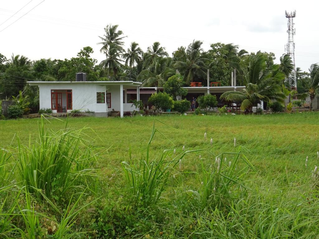 Nelu Villa สิกิริยา ภายนอก รูปภาพ