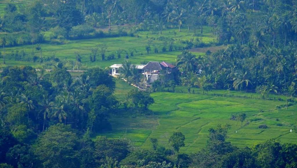Nelu Villa สิกิริยา ภายนอก รูปภาพ