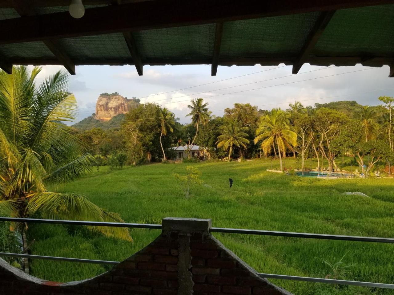 Nelu Villa สิกิริยา ภายนอก รูปภาพ
