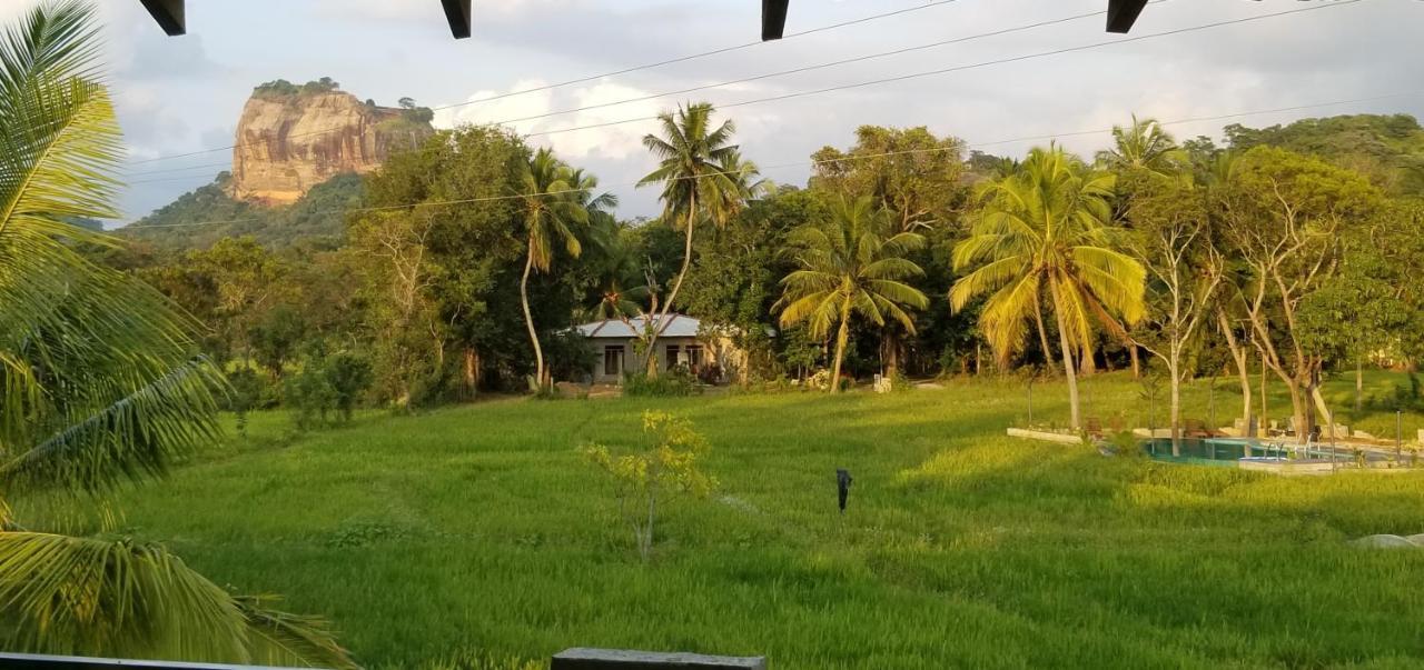 Nelu Villa สิกิริยา ภายนอก รูปภาพ