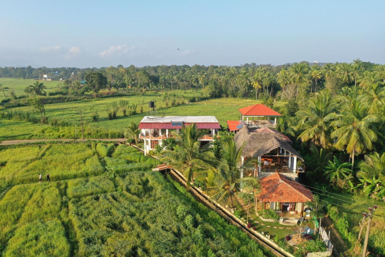 Nelu Villa สิกิริยา ภายนอก รูปภาพ