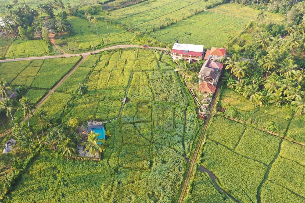 Nelu Villa สิกิริยา ภายนอก รูปภาพ